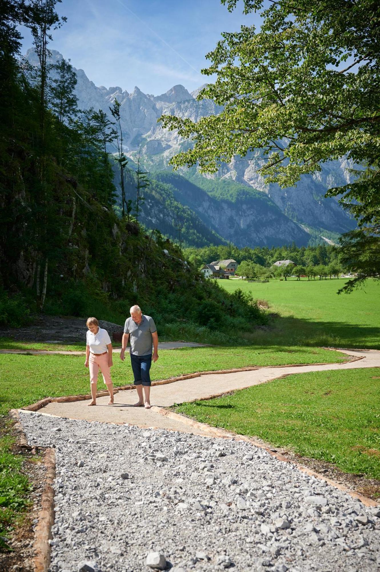 Hotel Plesnik Logarska Dolina Solcava Exterior photo